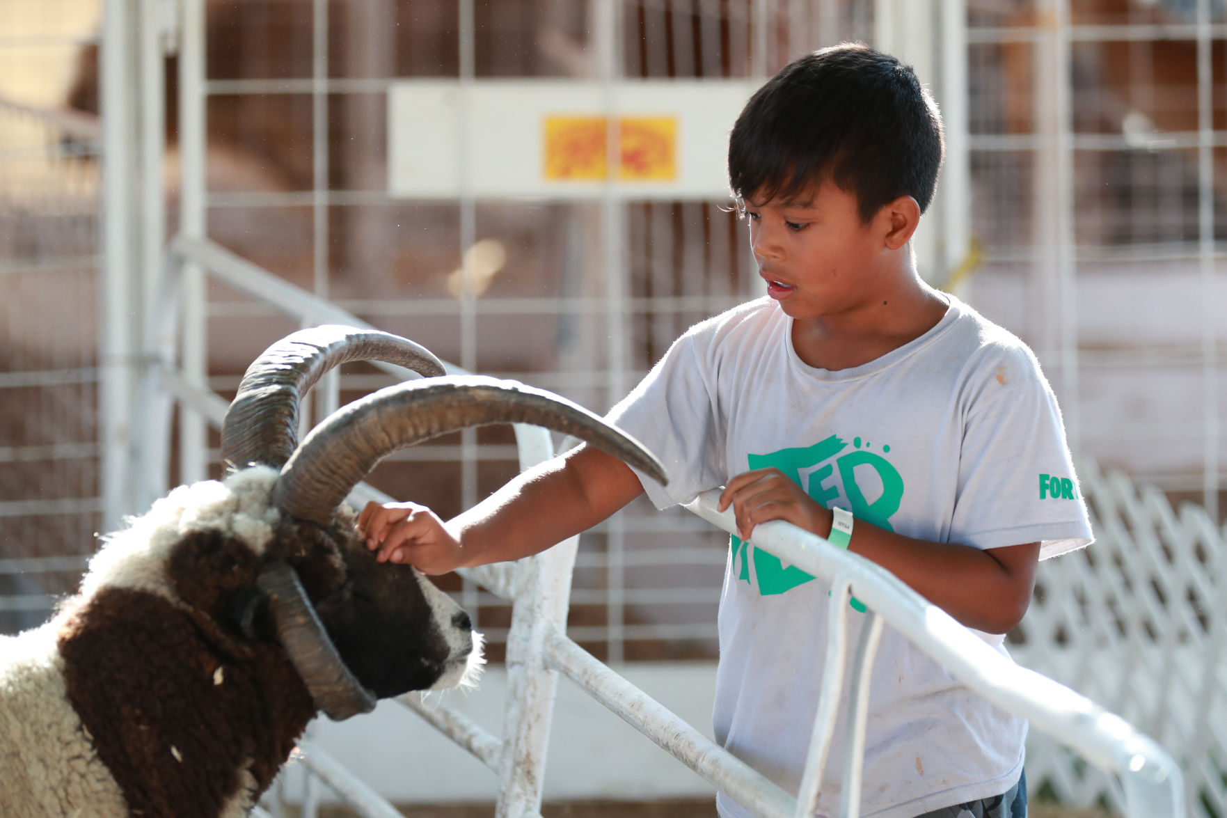 083019_StateFair0648_bjs.jpg